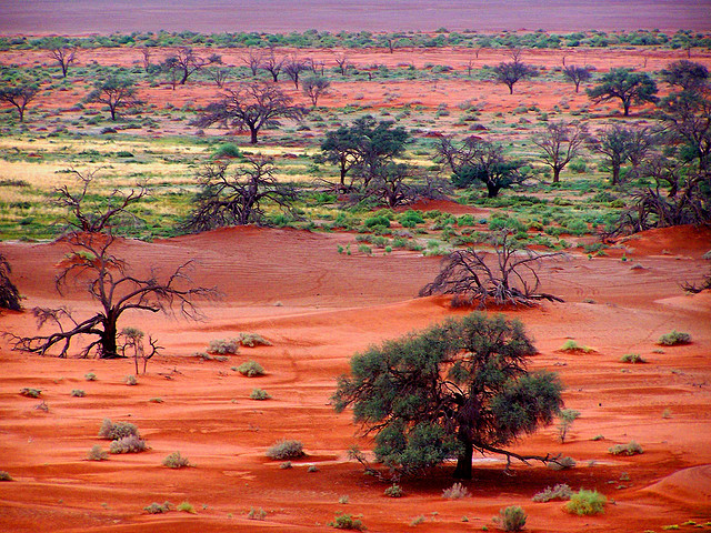 Wueste Namibia