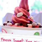 Frozen Yogurt New York