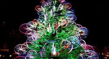 Der Weihnachtsbaum – unsere “Top 10”