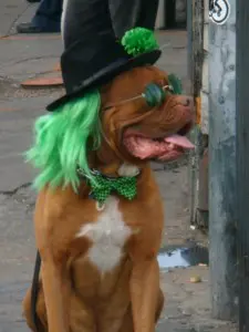 St. Patrick's Day