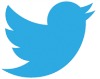 twitter vogel