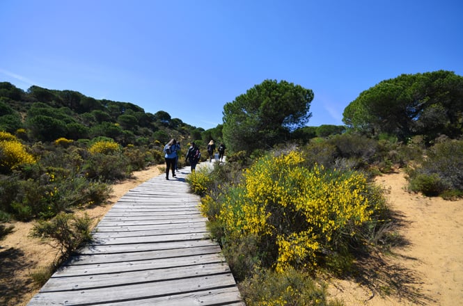 andalusien sehenswürdigkeiten