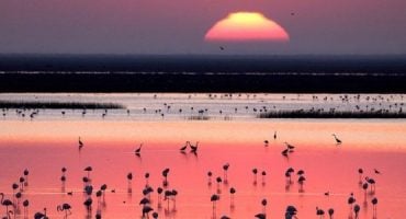 Sehenswürdigkeiten in Andalusien: Flamenco und Coto de Doñana