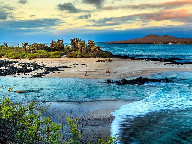 Buchen Sie Ihren günstigen Flug nach Galapagos-Inseln mit eDreams