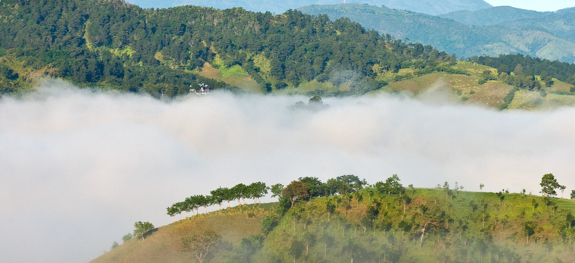 Buceo en el Parque Nacional La Caleta