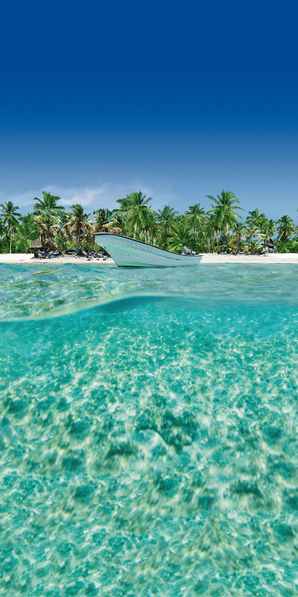 Buceo en Isla Catalina